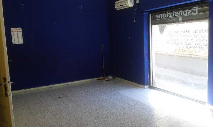 immagine annuncio 4 di 6