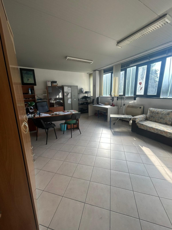 immagine annuncio 4 di 6