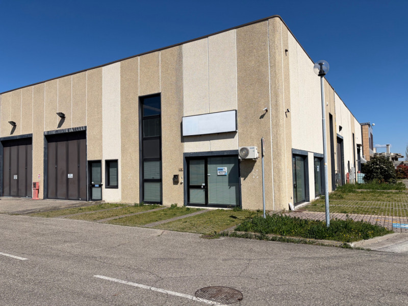 immagine annuncio 6 di 10