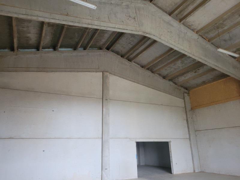 immagine annuncio 2 di 3