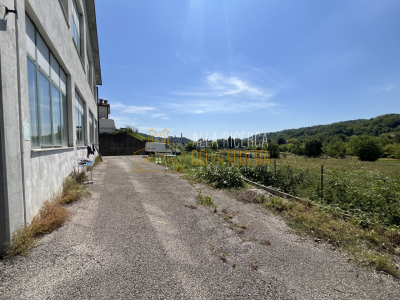 immagine annuncio 3 di 8