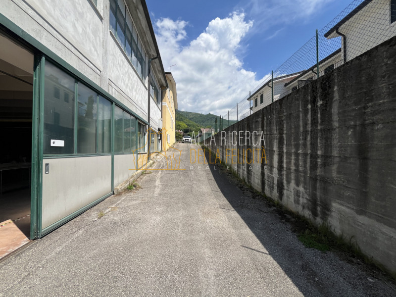 immagine annuncio 7 di 8
