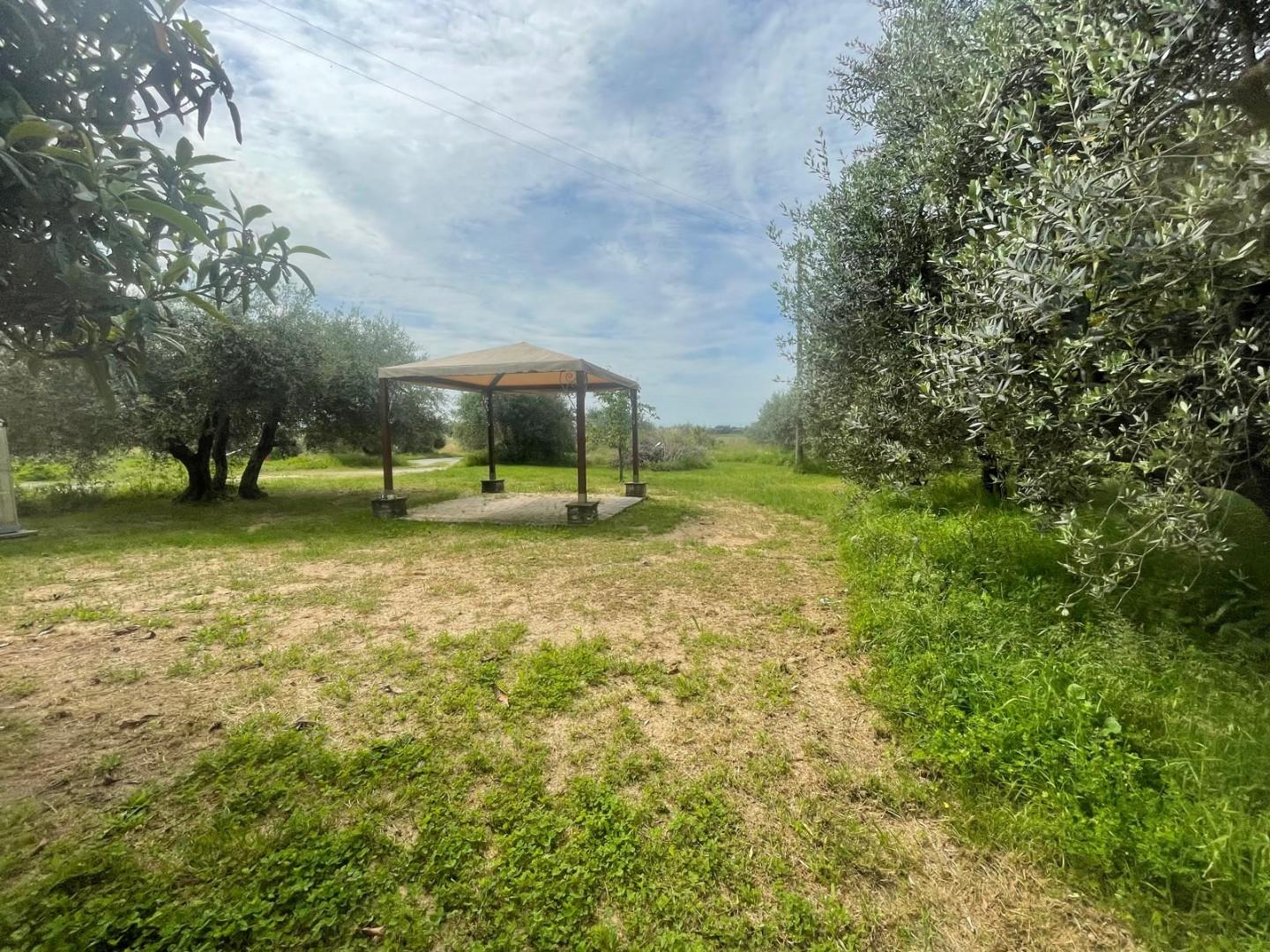 immagine annuncio 2 di 9