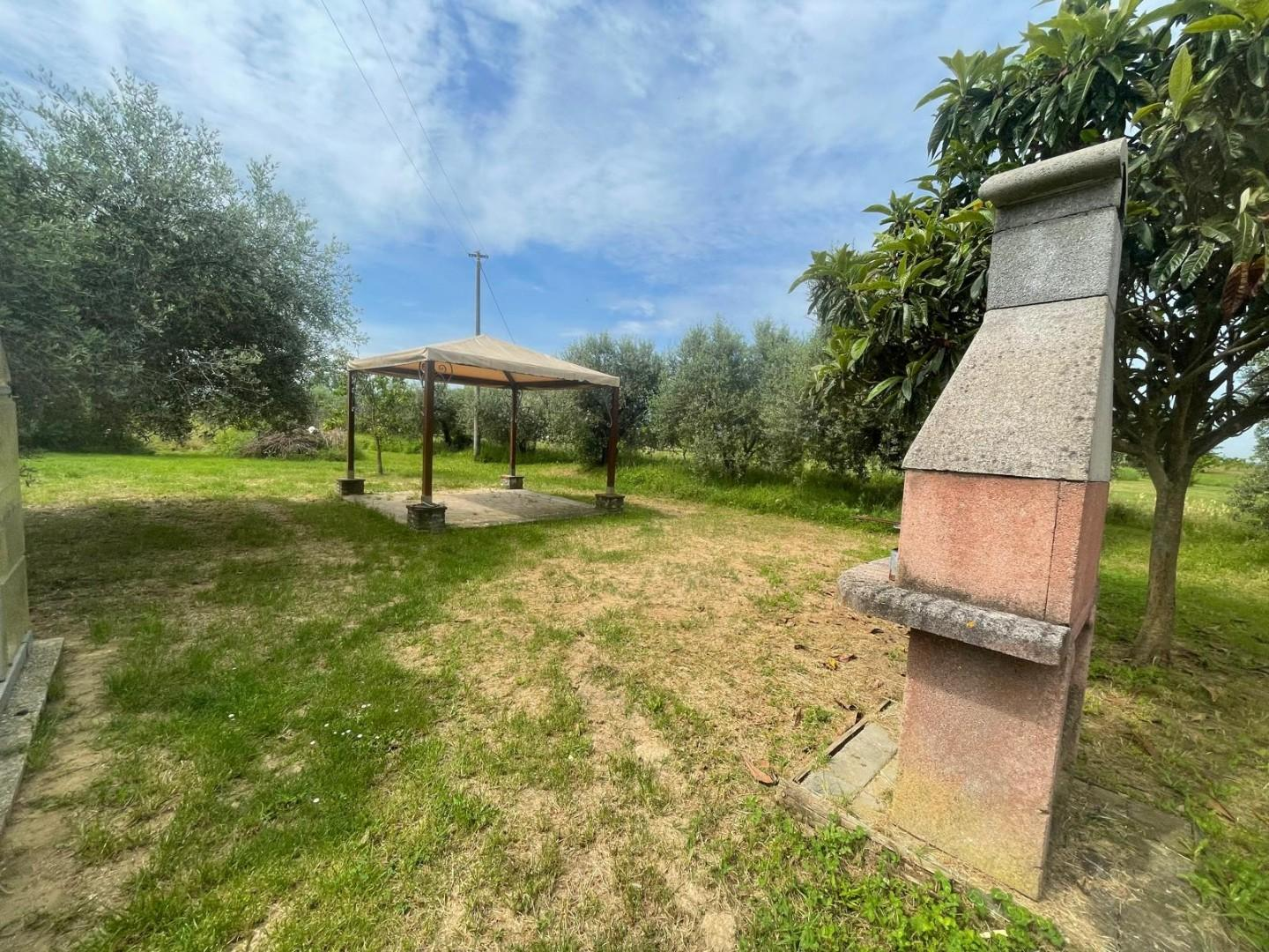 immagine annuncio 6 di 9