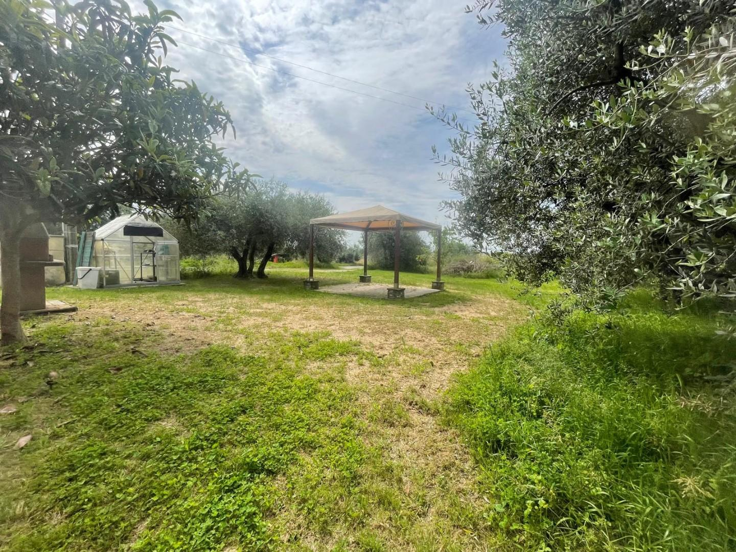 immagine annuncio 8 di 9