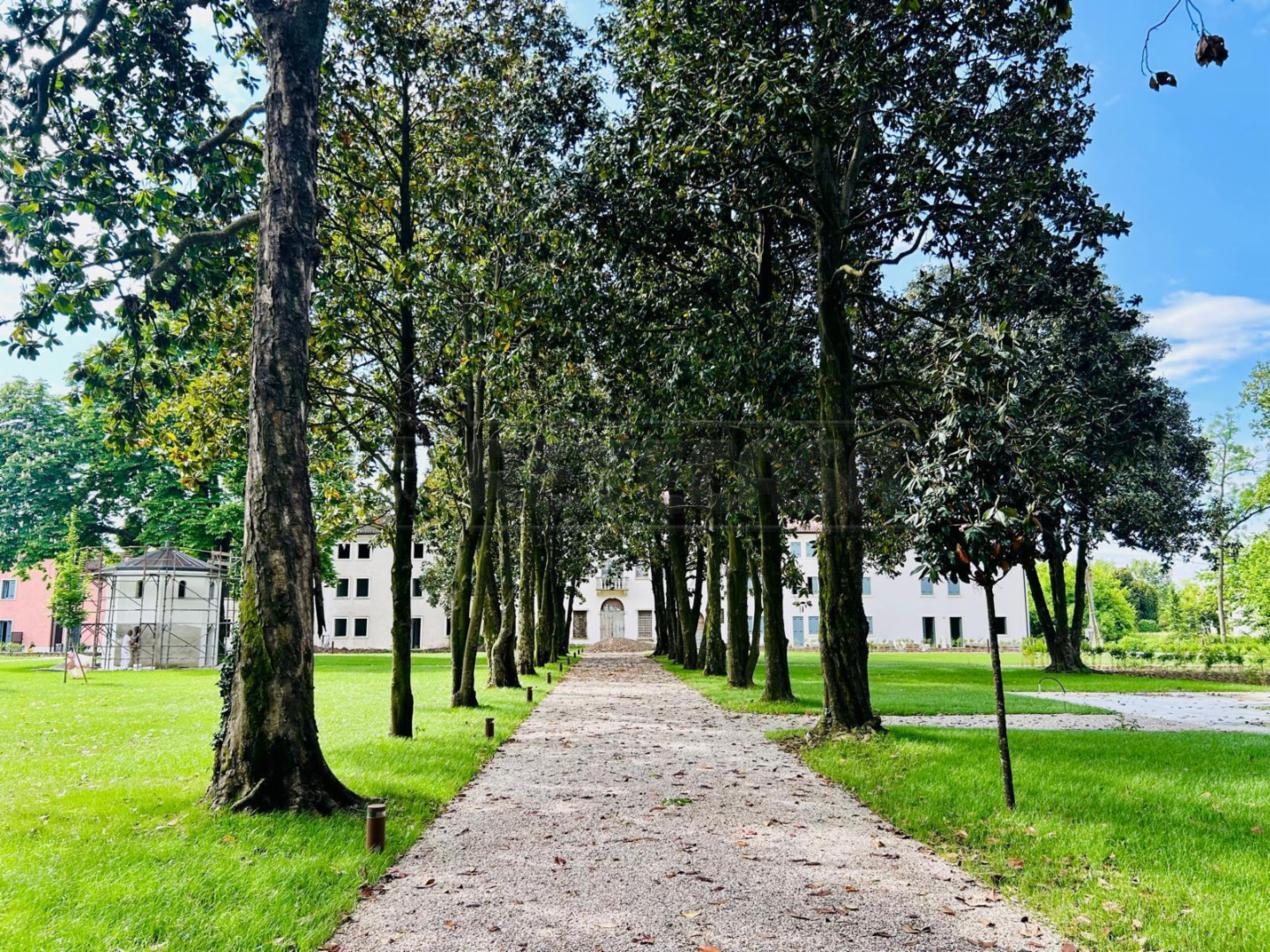 immagine annuncio 4 di 8