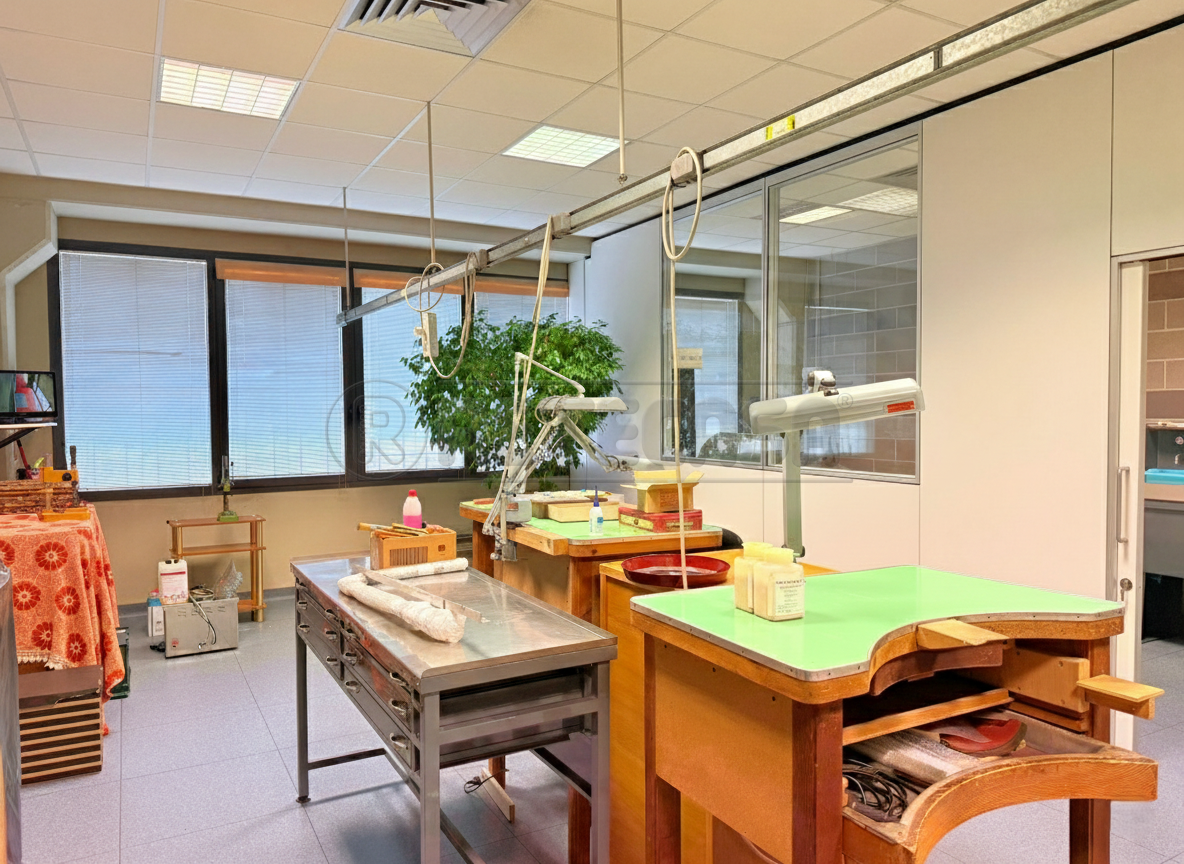 immagine annuncio 2 di 9