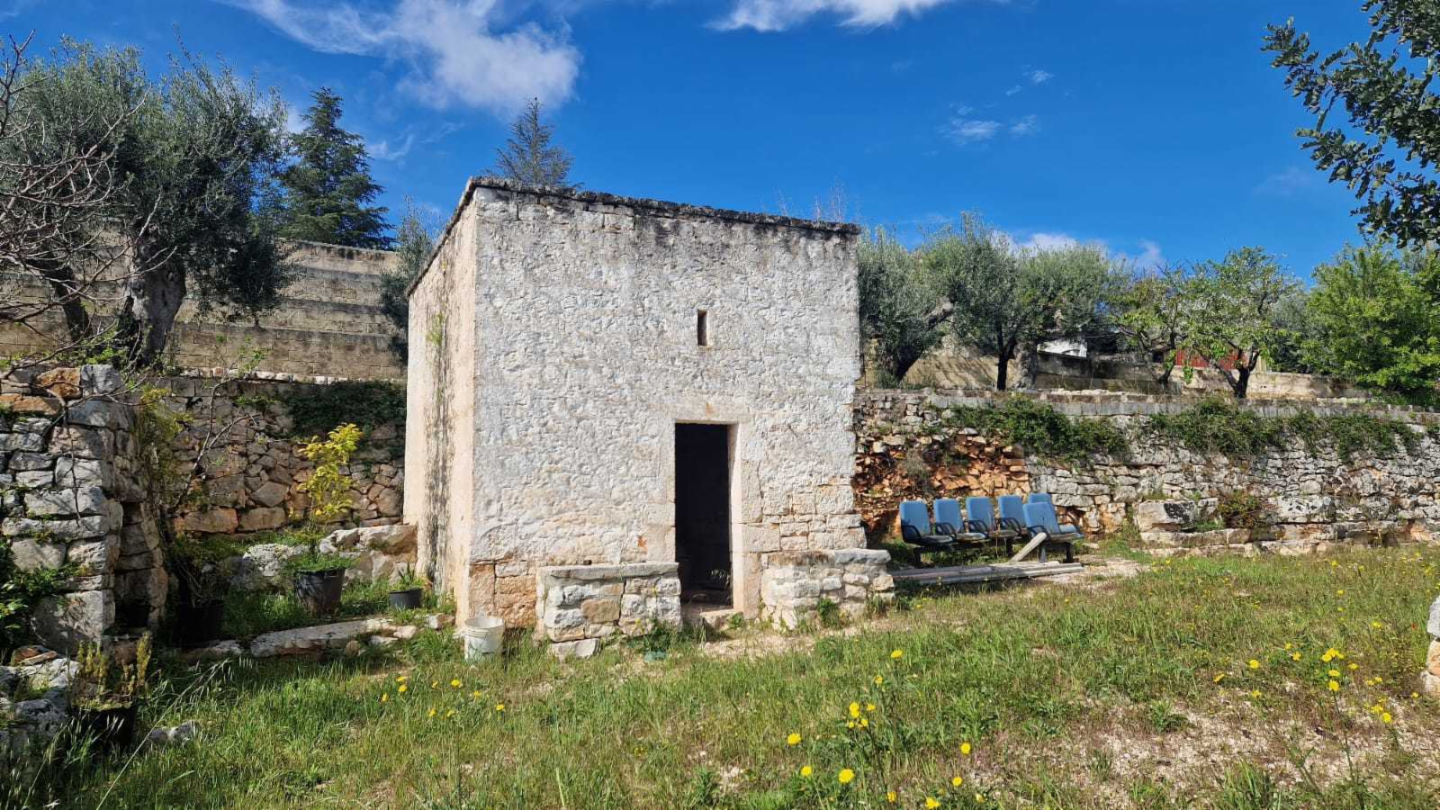 immagine annuncio 2 di 10