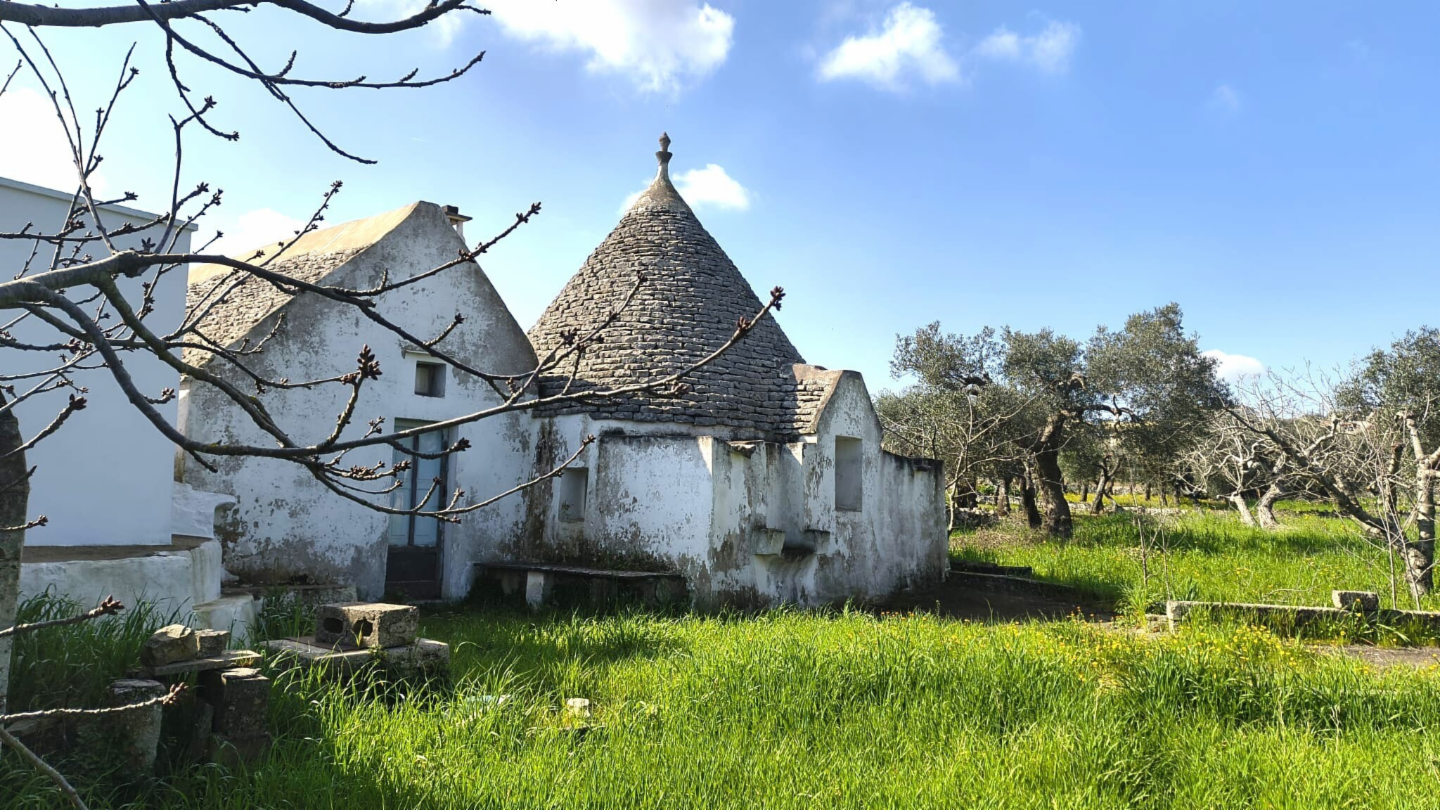 immagine annuncio 0 di 10