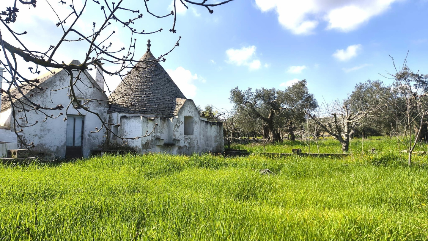 immagine annuncio 1 di 10