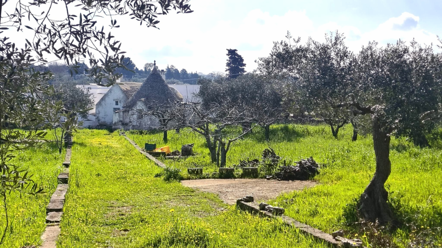 immagine annuncio 2 di 10