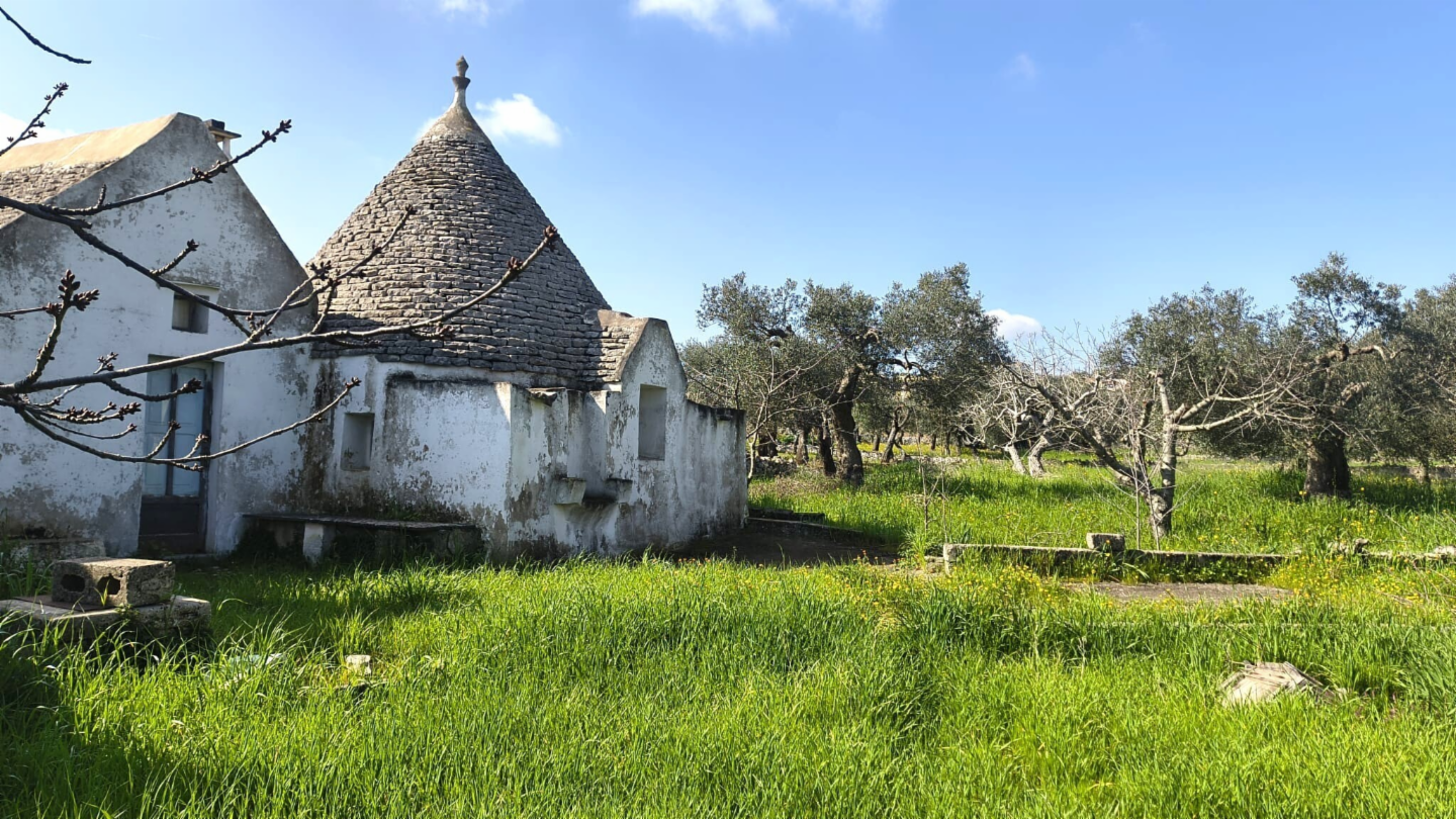 immagine annuncio 3 di 10