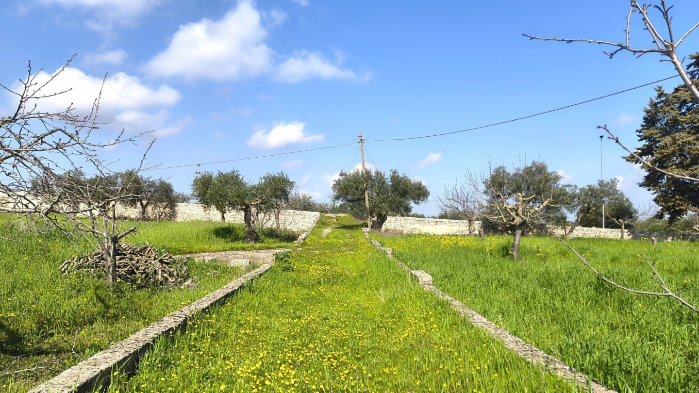 immagine annuncio 4 di 10