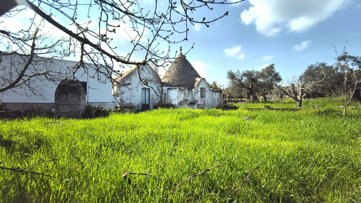 immagine annuncio 5 di 10