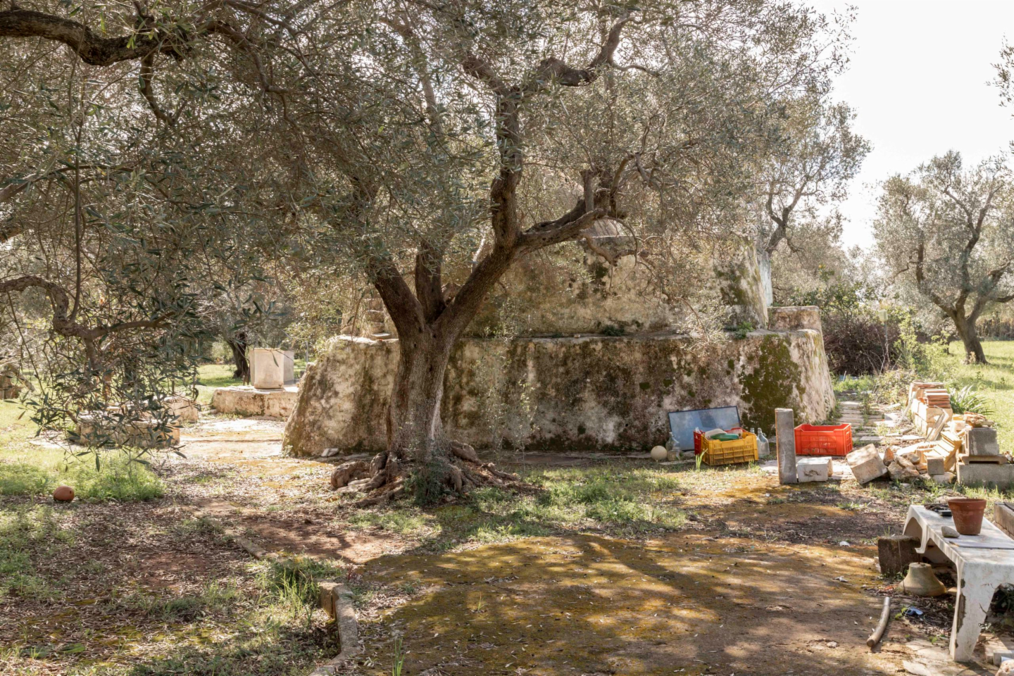 immagine annuncio 4 di 10