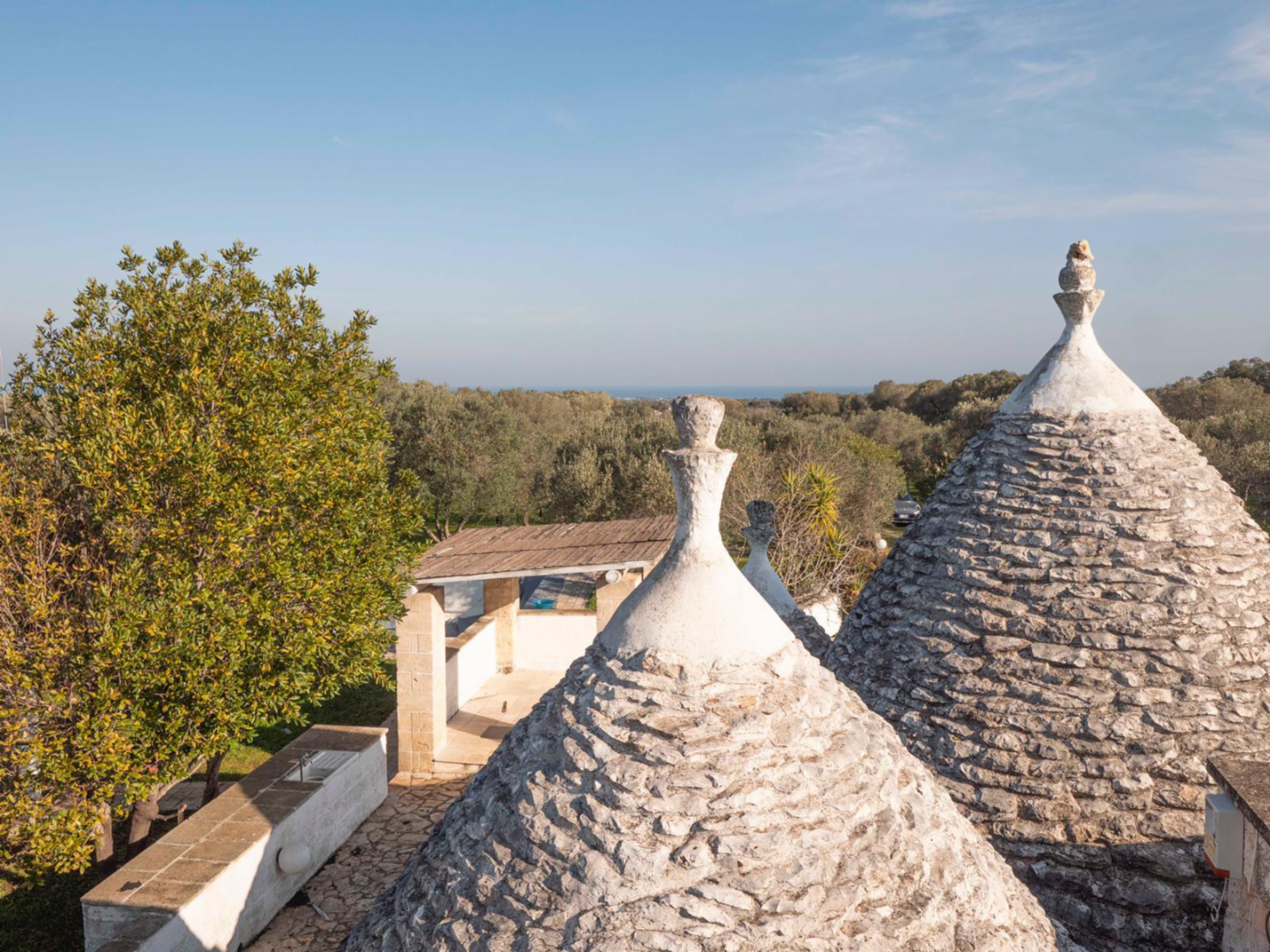 immagine annuncio 2 di 10