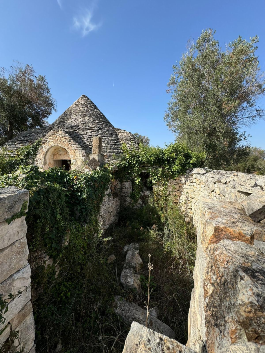 immagine annuncio 4 di 6