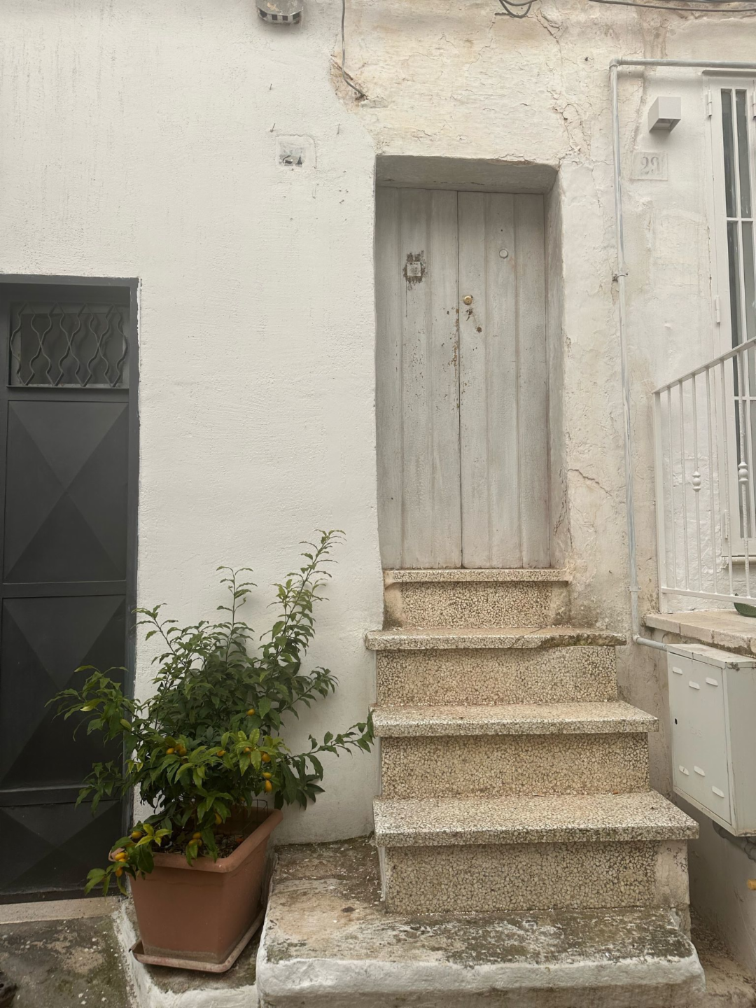 immagine annuncio 2 di 3