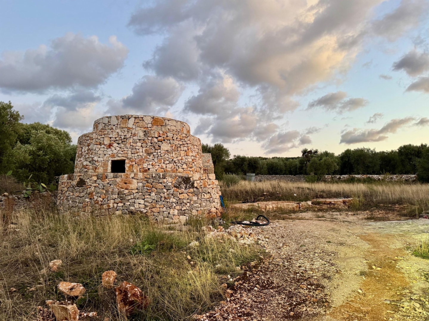 immagine annuncio 1 di 10