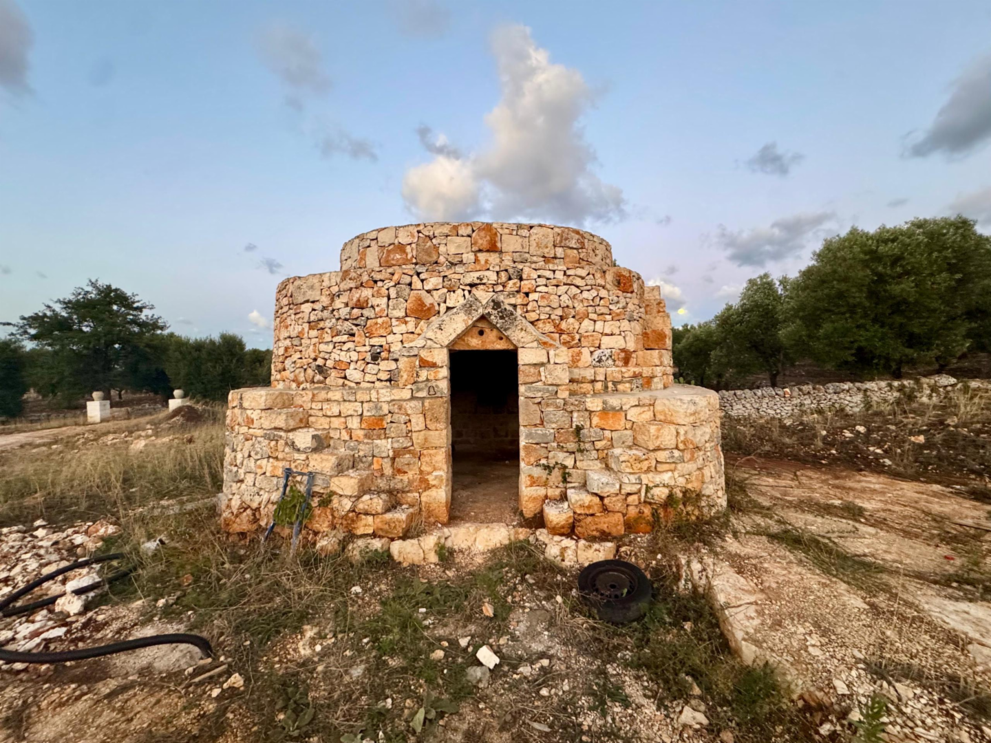 immagine annuncio 6 di 10