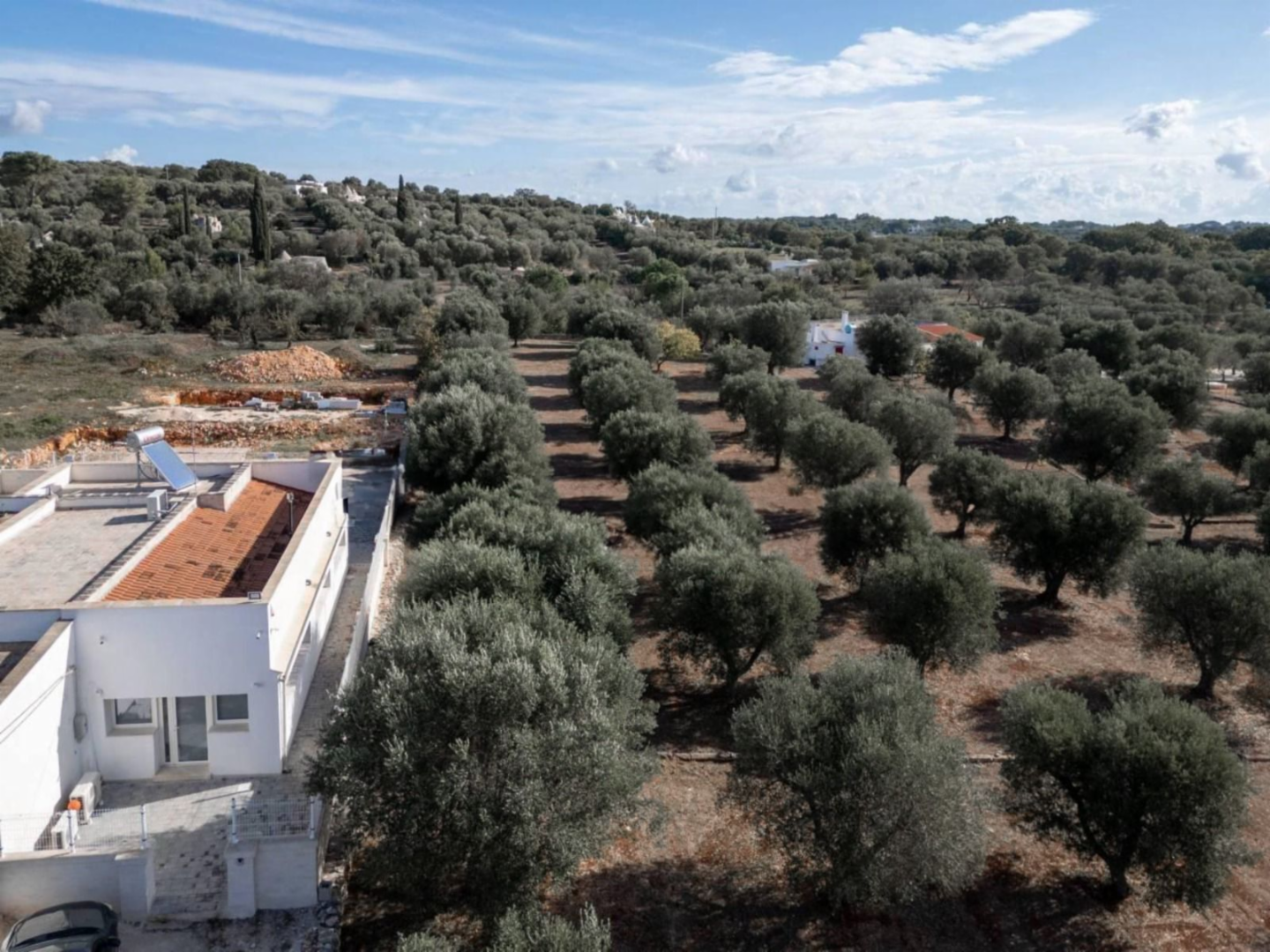 immagine annuncio 2 di 10