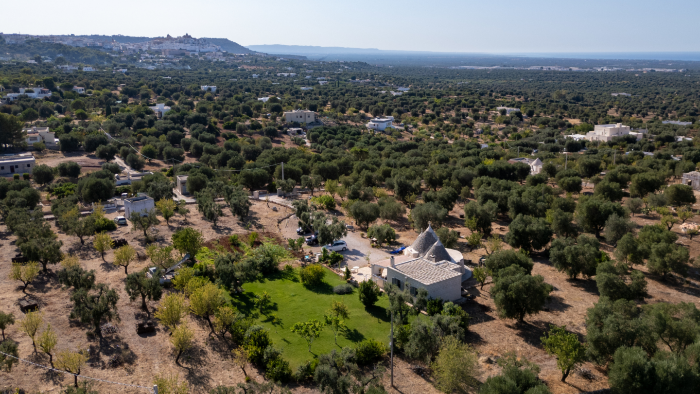 immagine annuncio 2 di 10