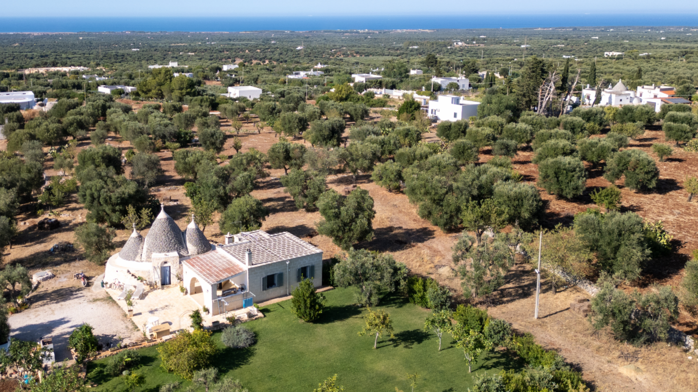 immagine annuncio 3 di 10