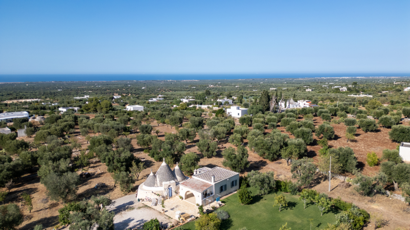 immagine annuncio 4 di 10