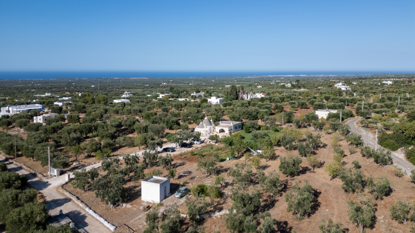 immagine annuncio 6 di 10