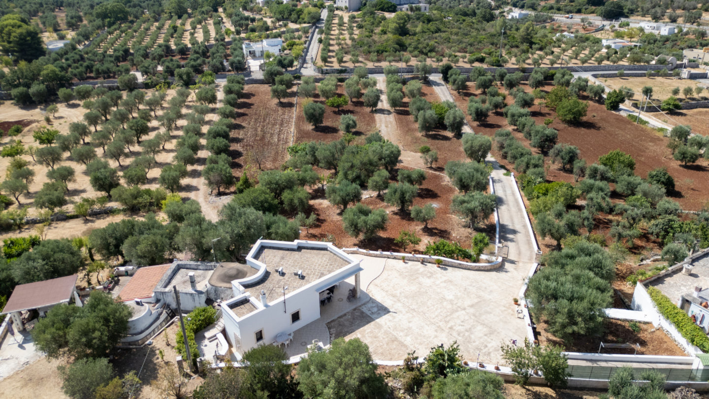 immagine annuncio 8 di 10