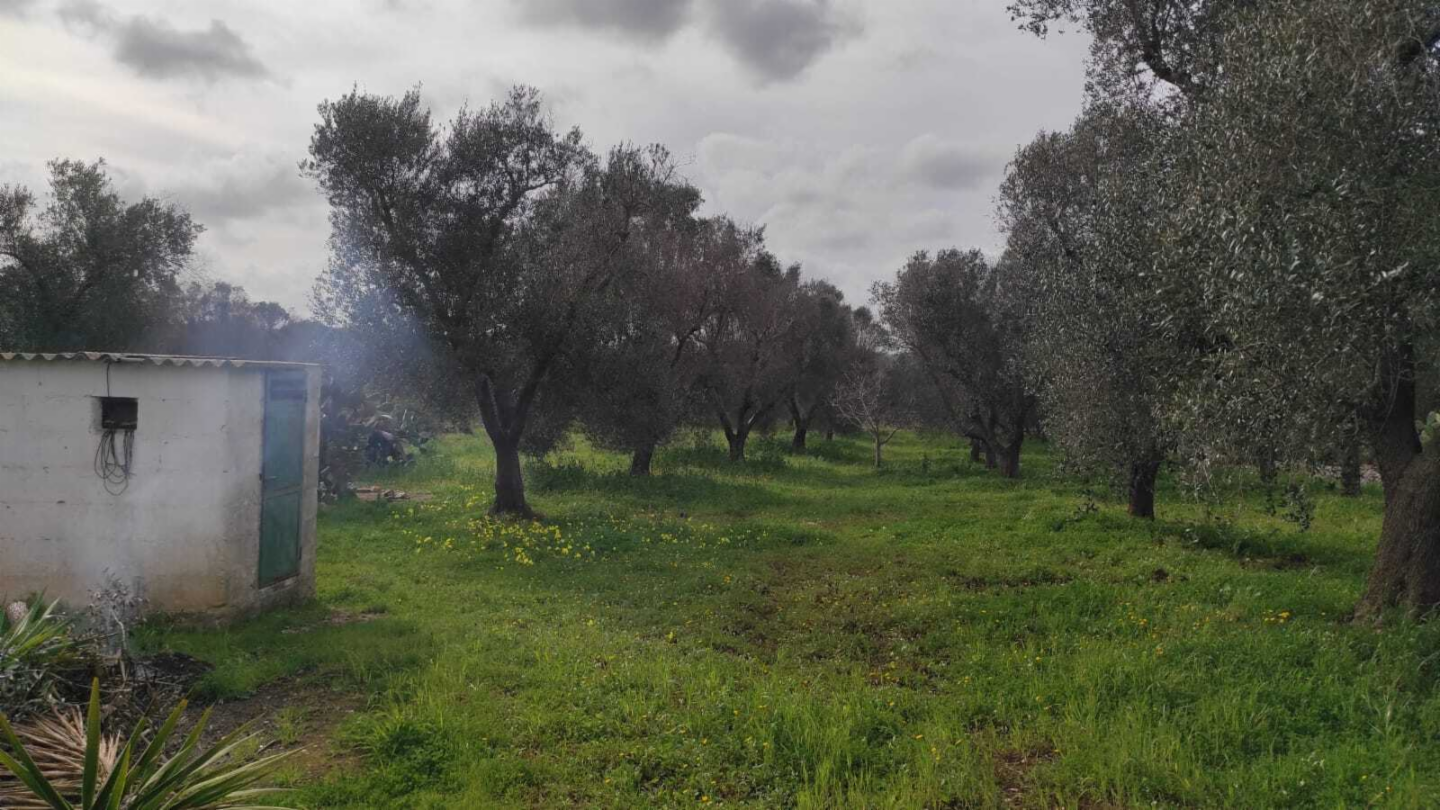 immagine annuncio 4 di 10