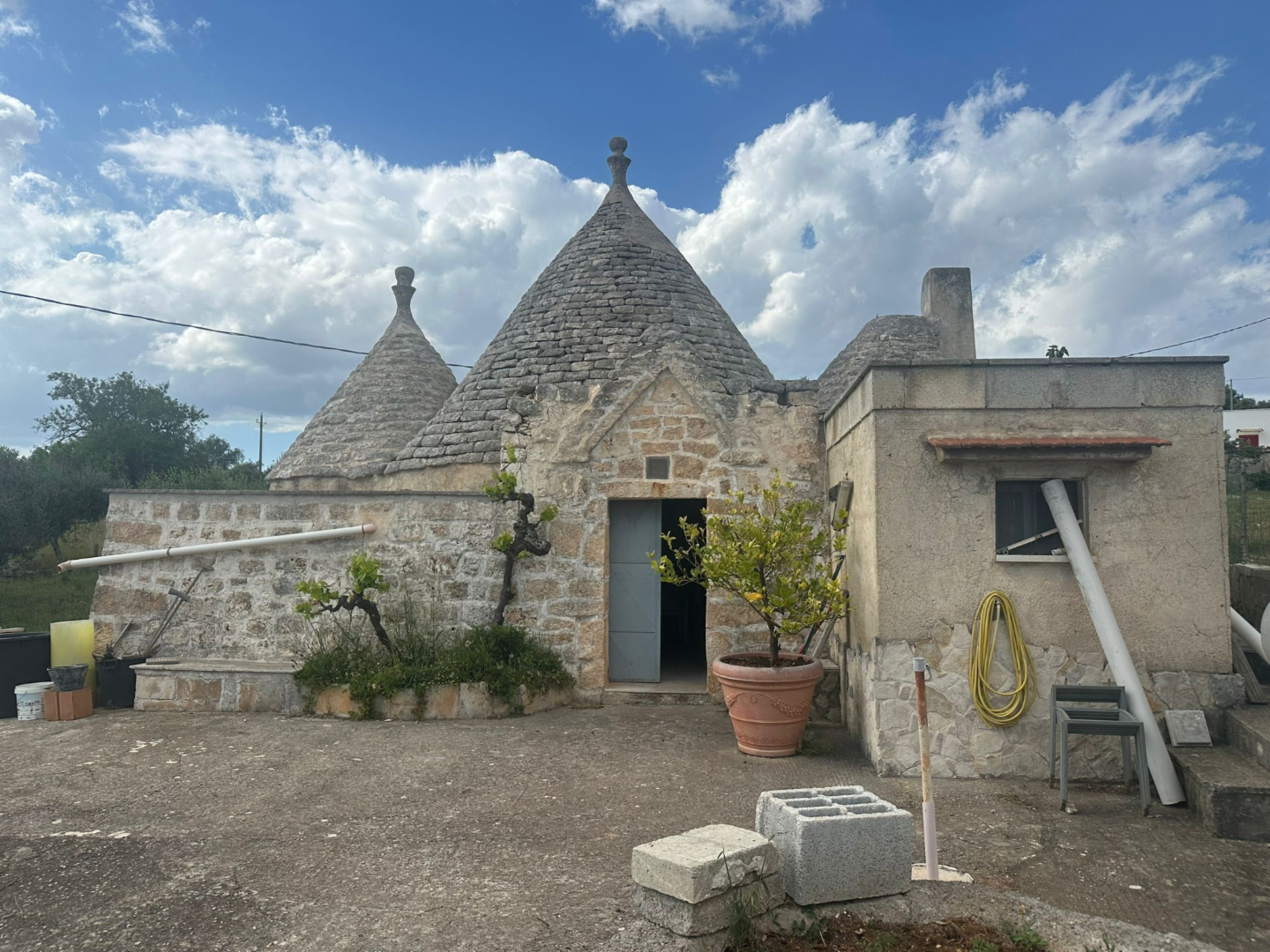 immagine annuncio 3 di 10