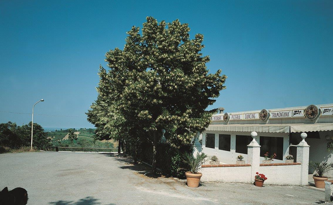 immagine annuncio 1 di 3