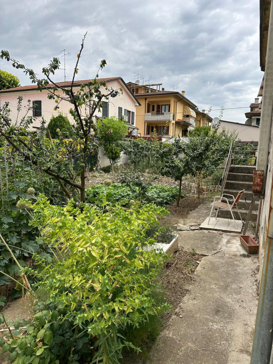 immagine annuncio 1 di 10