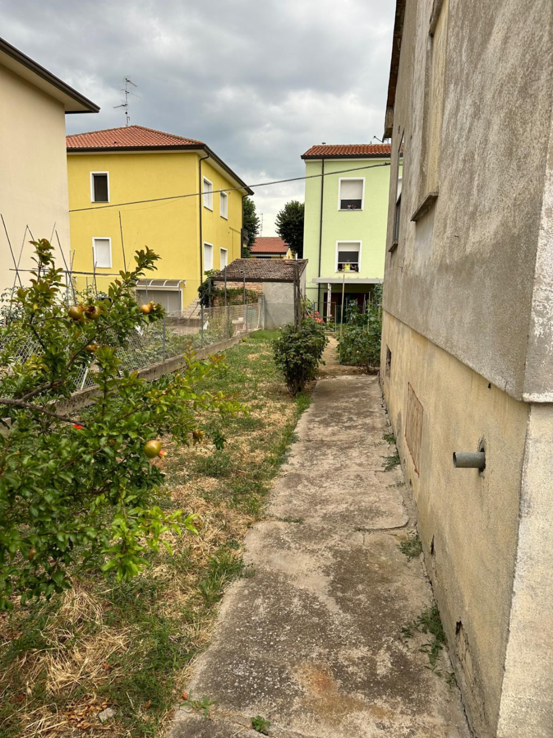 immagine annuncio 3 di 10