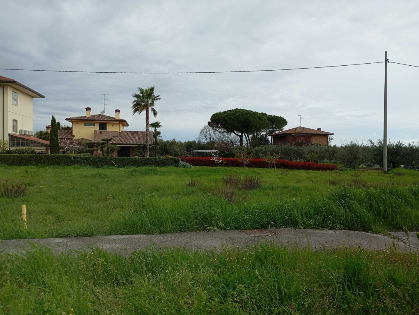 immagine annuncio 2 di 4