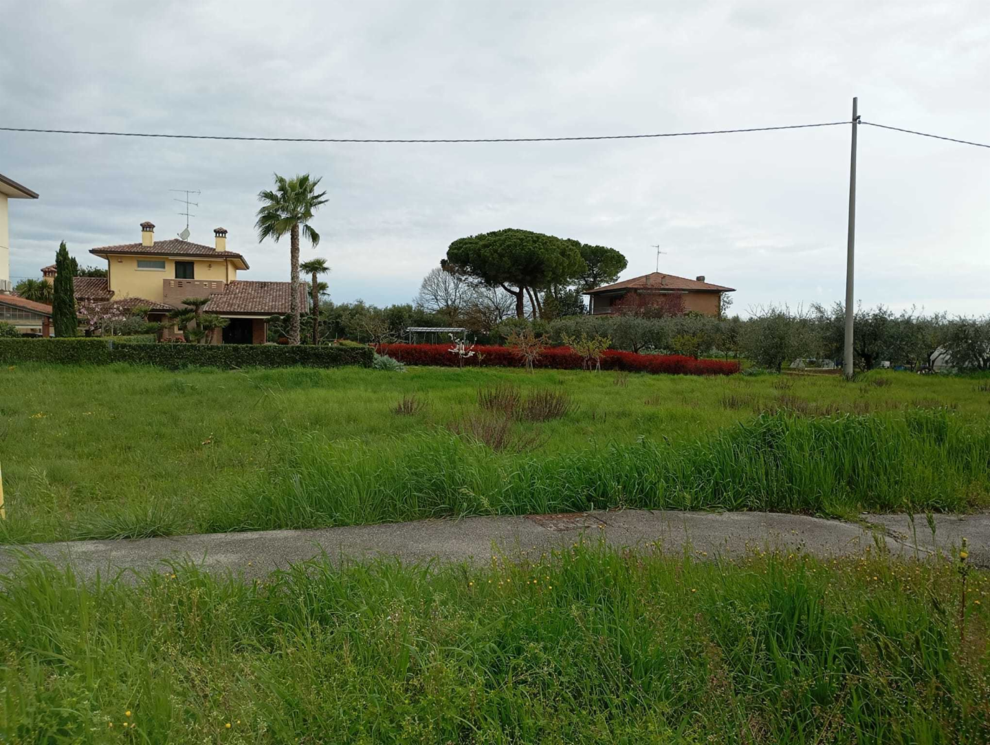 immagine annuncio 3 di 4