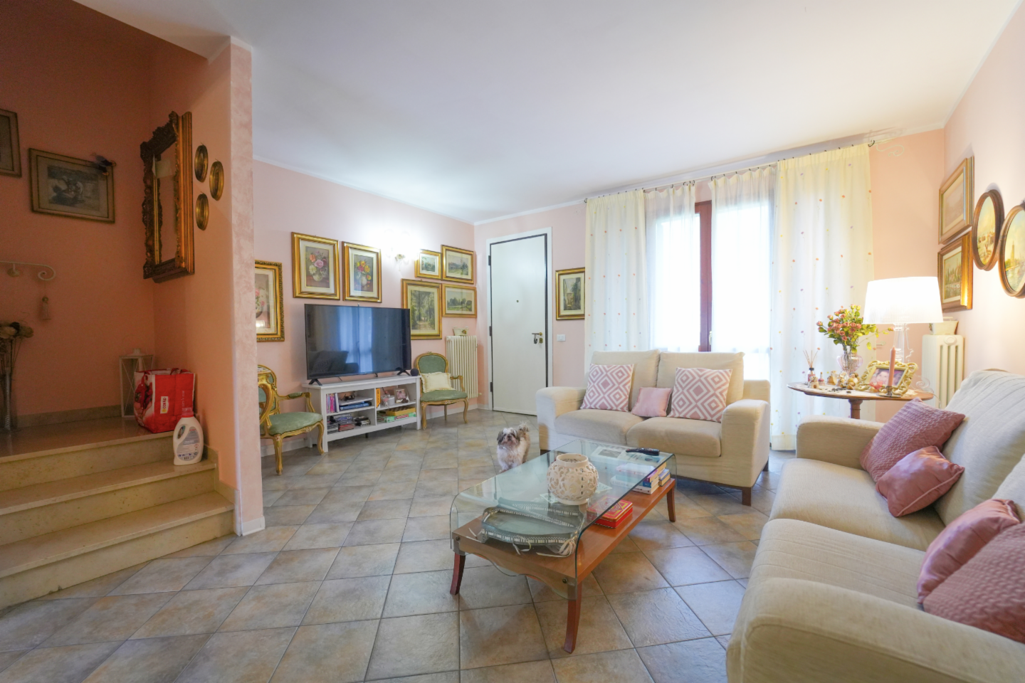 immagine annuncio 1 di 10