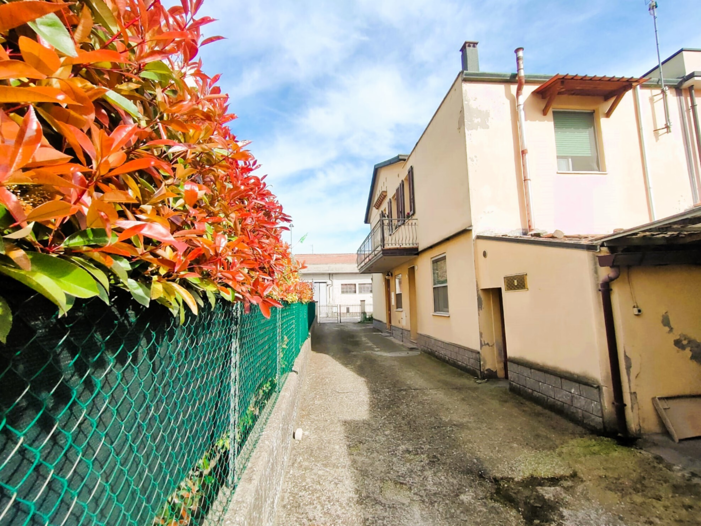 immagine annuncio 3 di 10