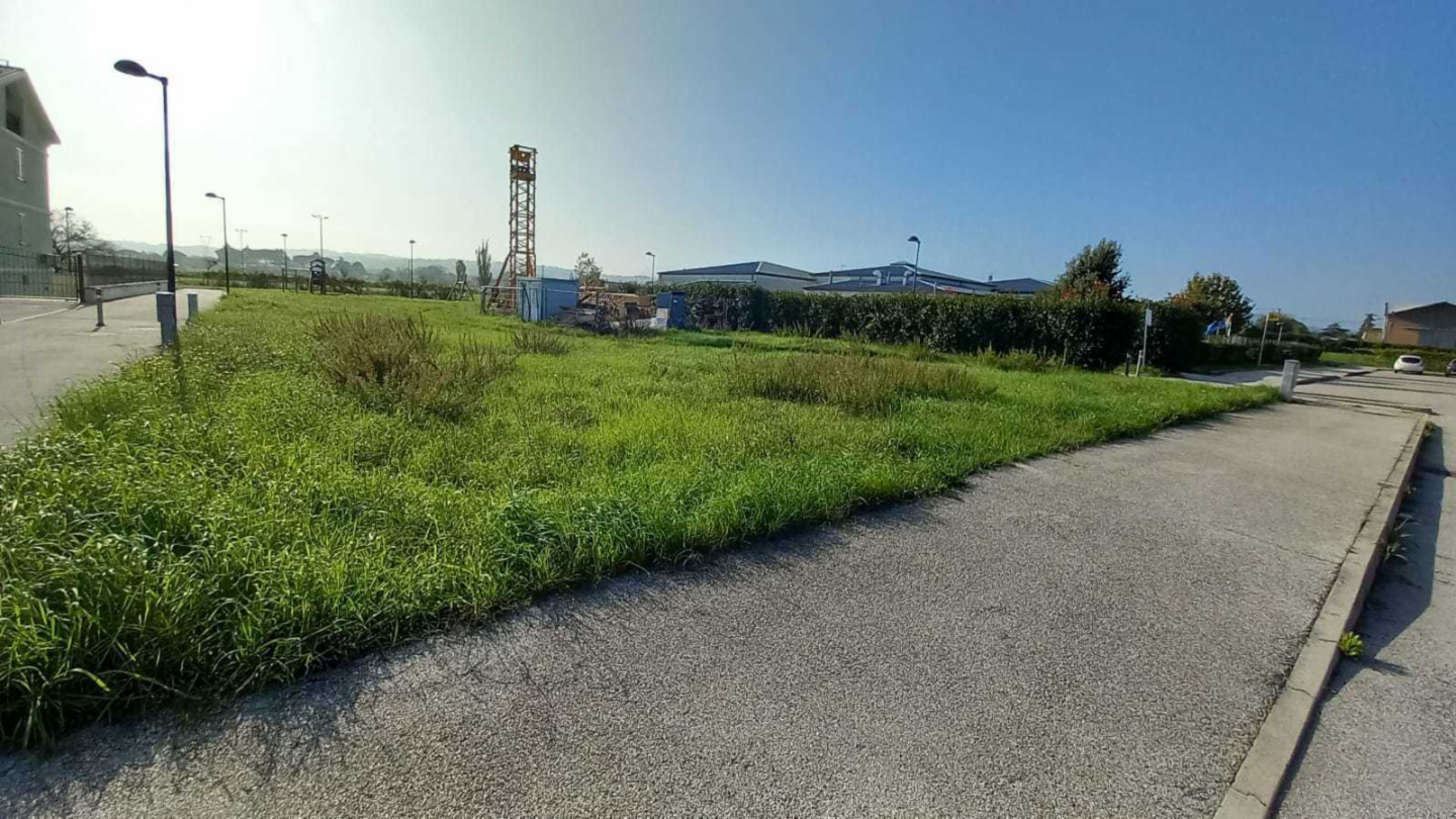 immagine annuncio 0 di 1