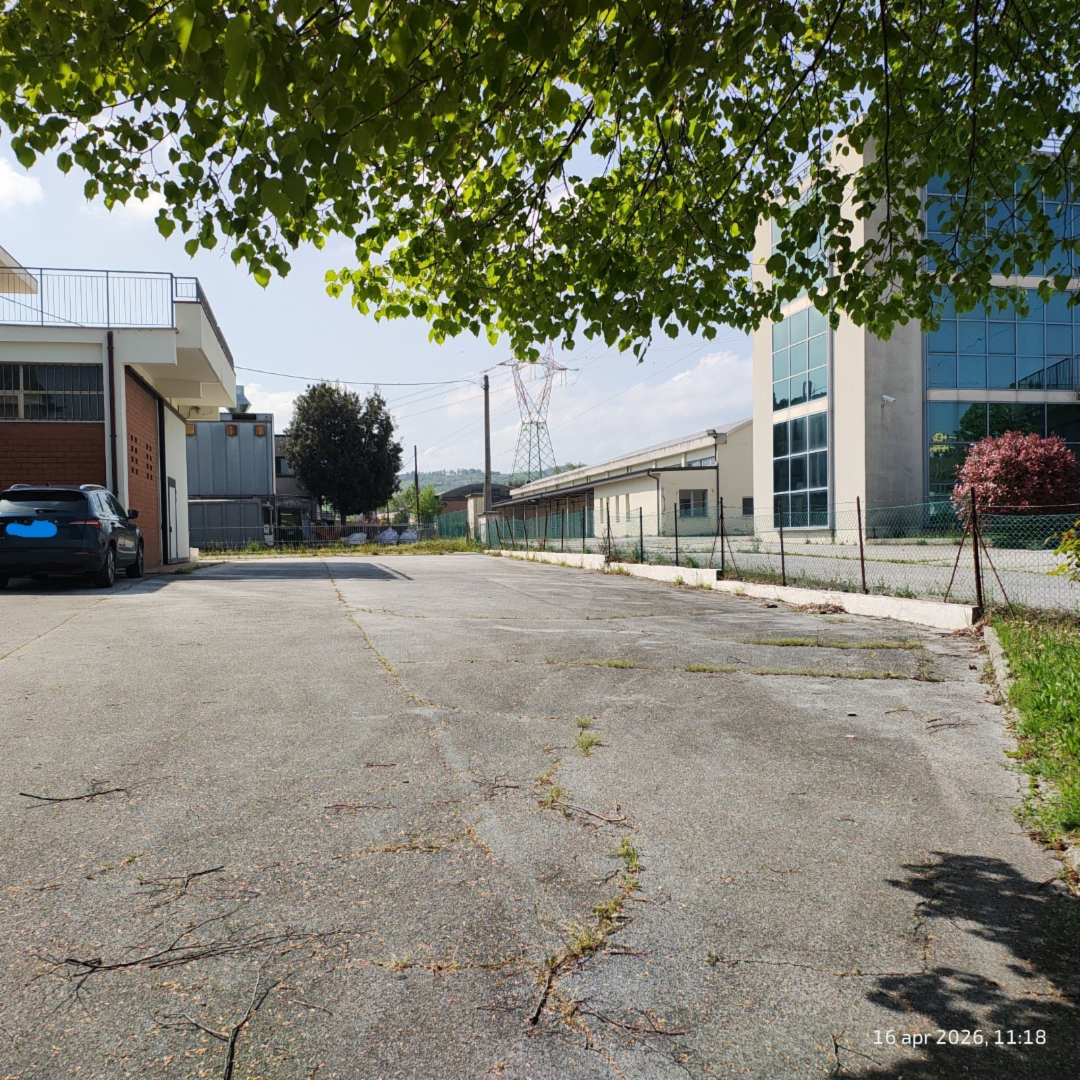 immagine annuncio 3 di 10