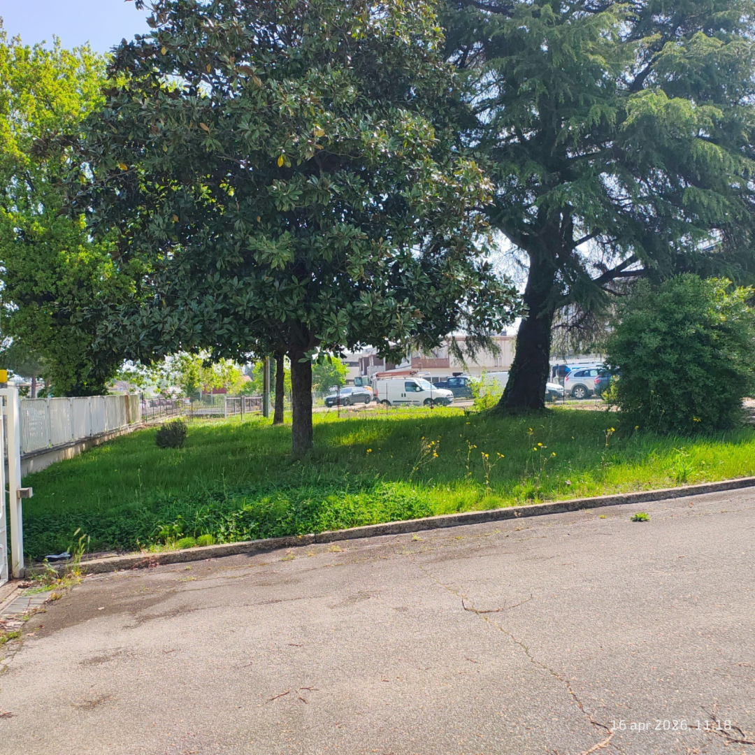 immagine annuncio 7 di 10