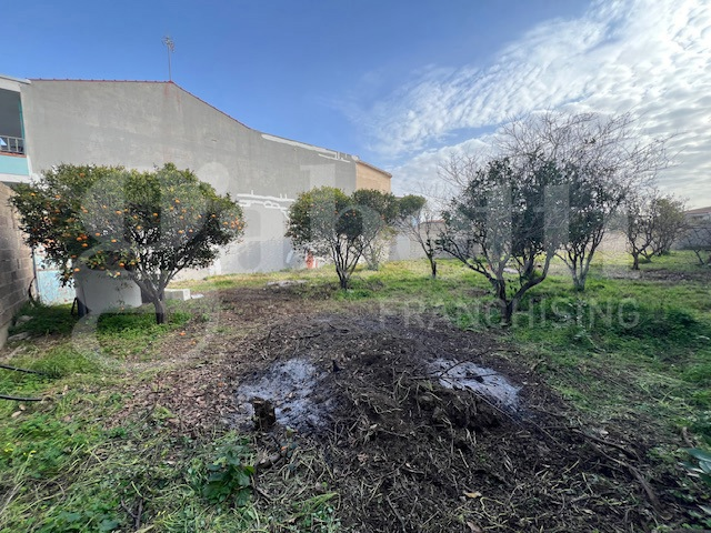 immagine annuncio 3 di 8