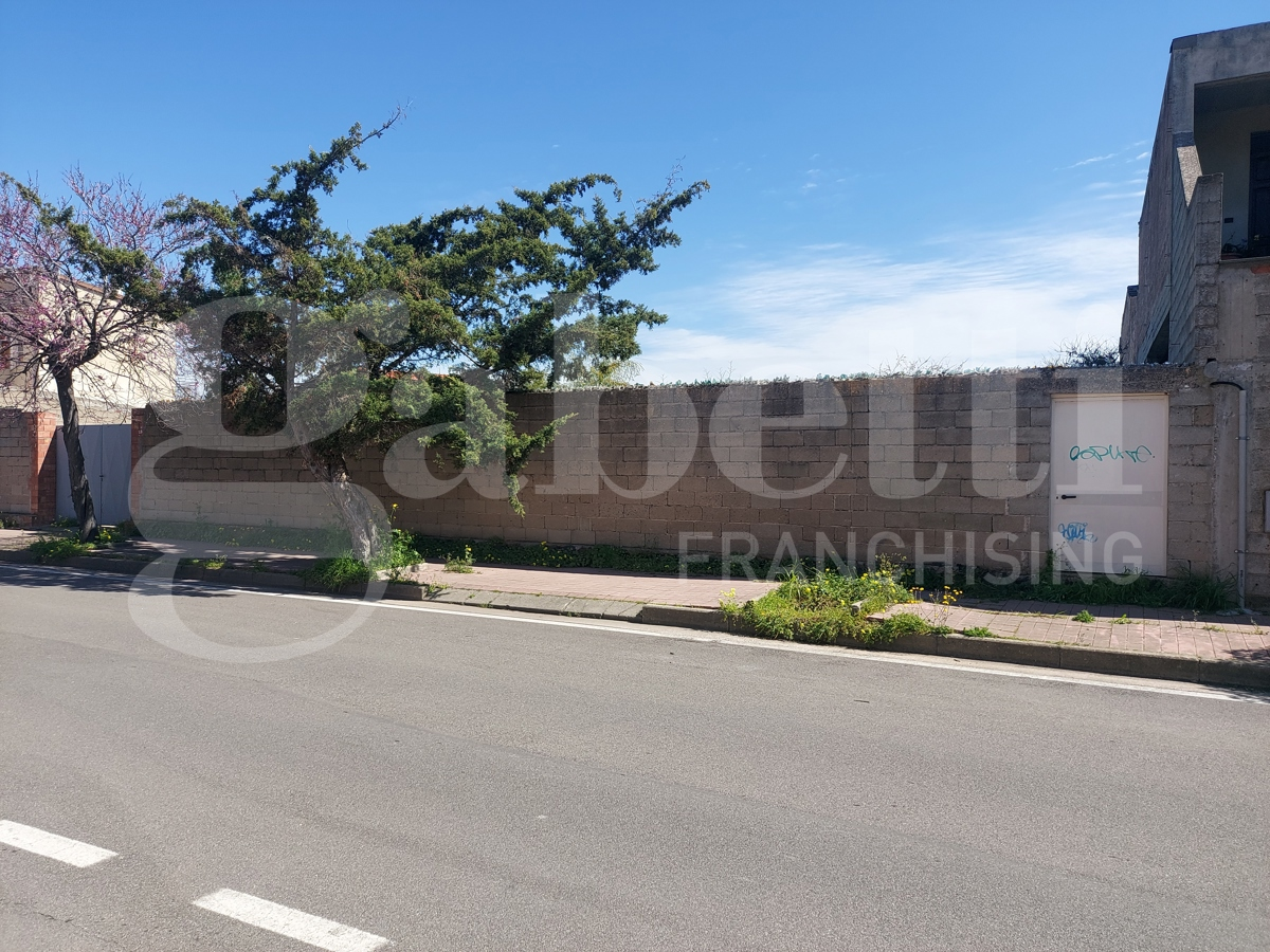 immagine annuncio 1 di 2