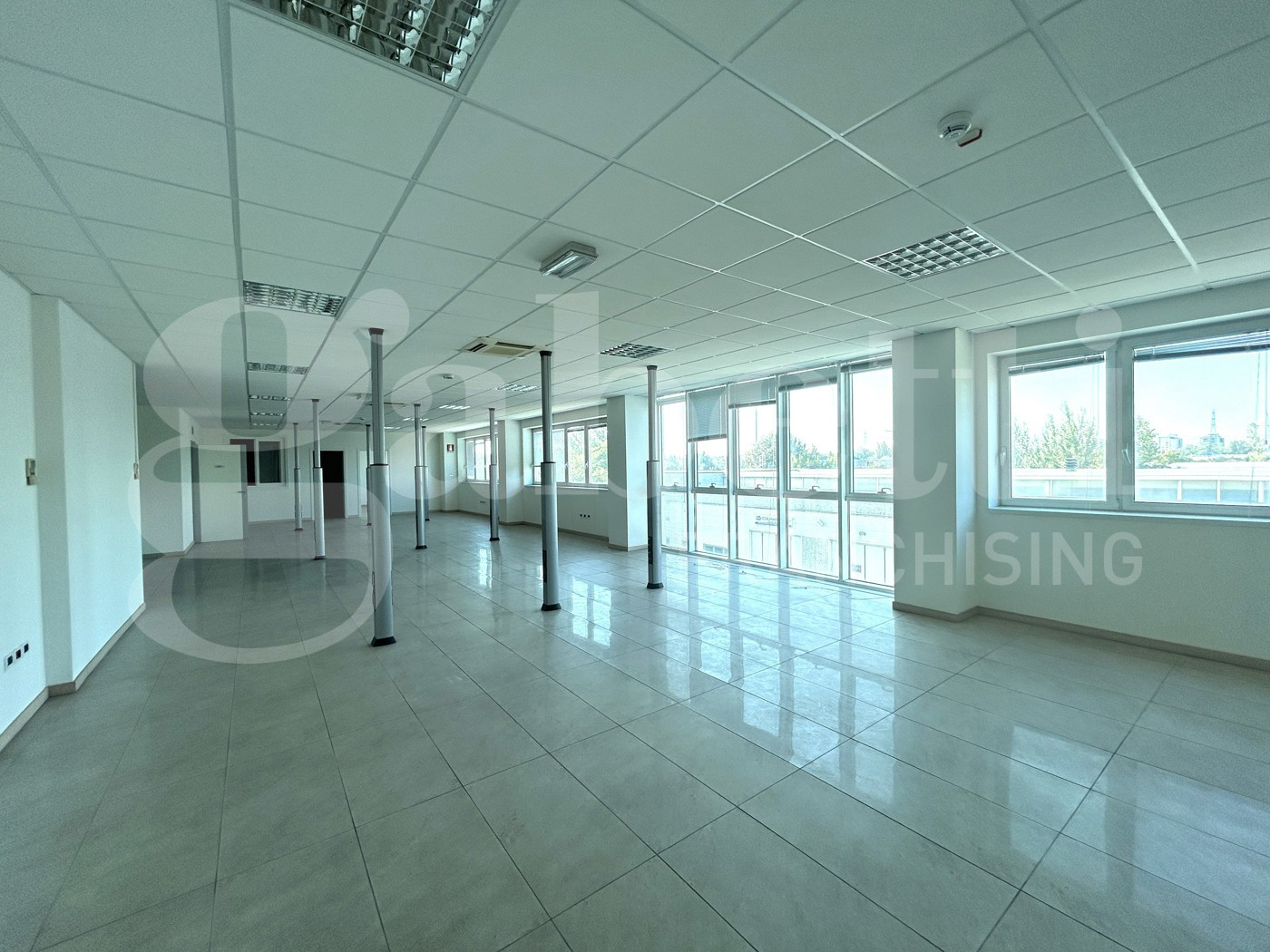 immagine annuncio 4 di 8