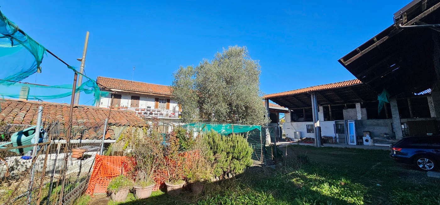 immagine annuncio 4 di 6