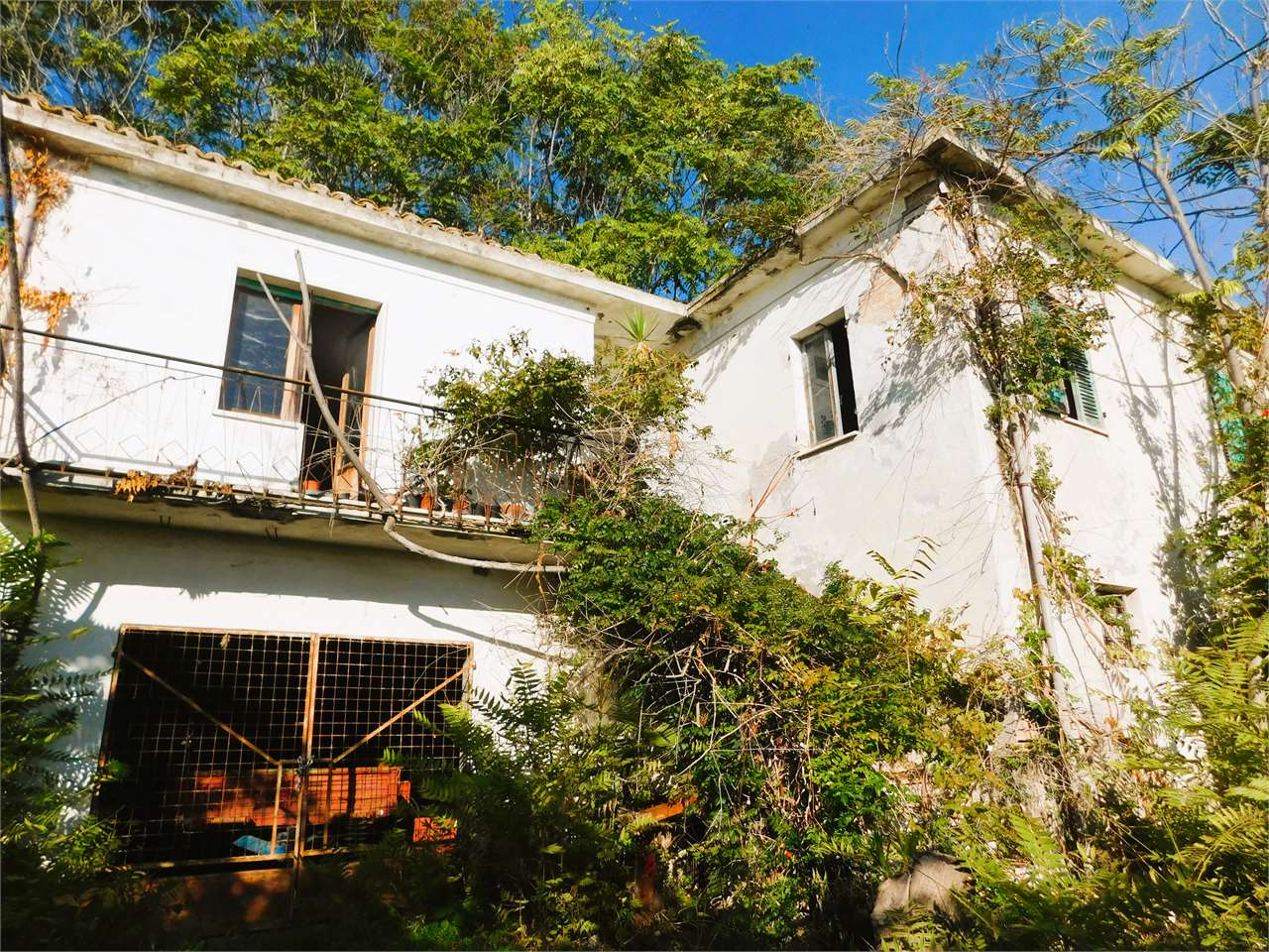 immagine annuncio 6 di 10