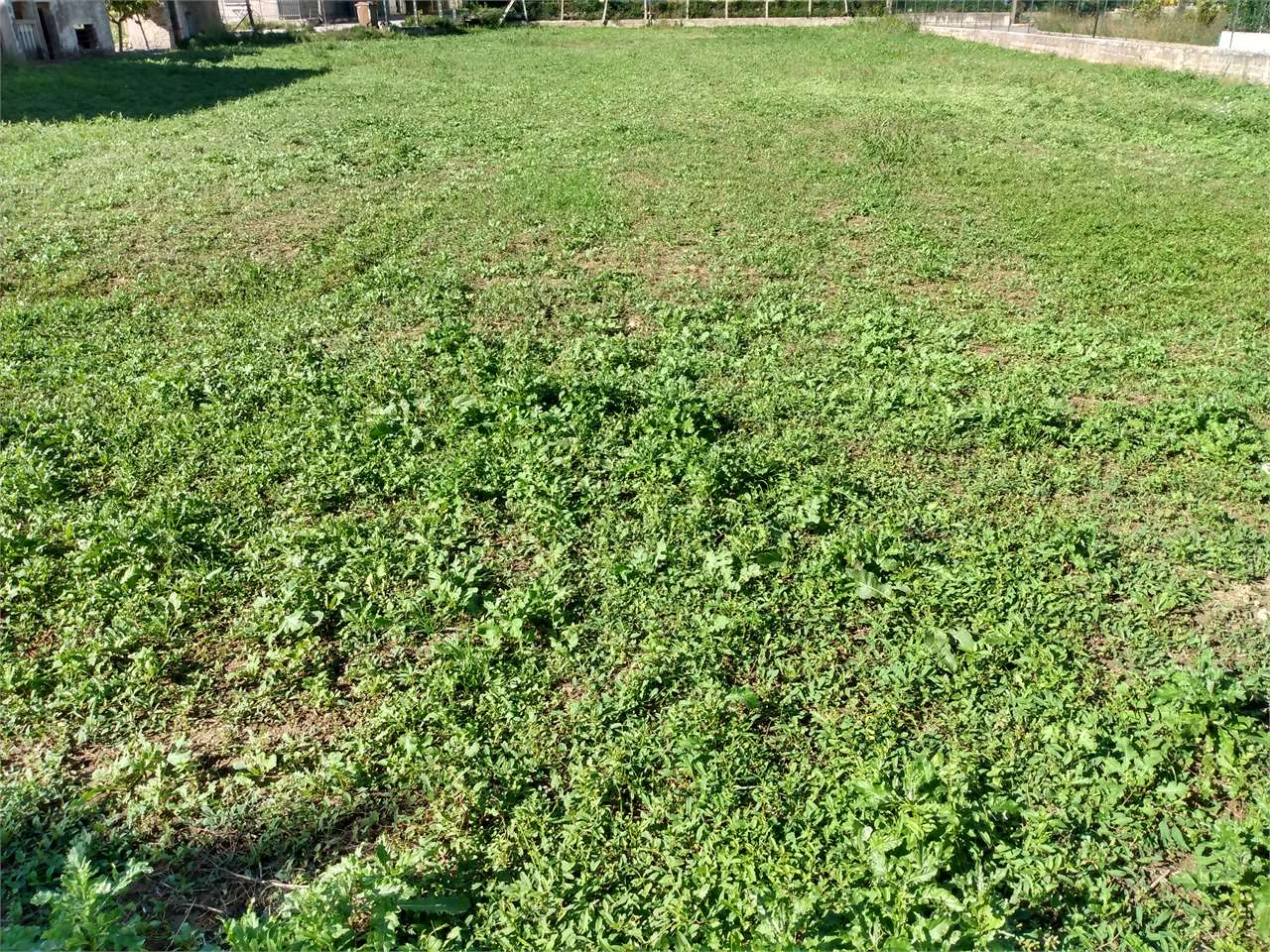 immagine annuncio 1 di 9