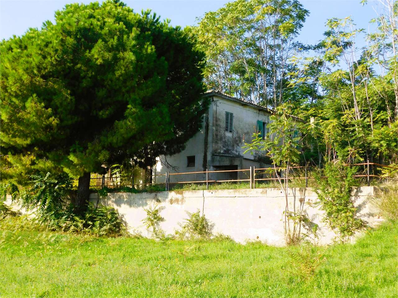 immagine annuncio 5 di 10