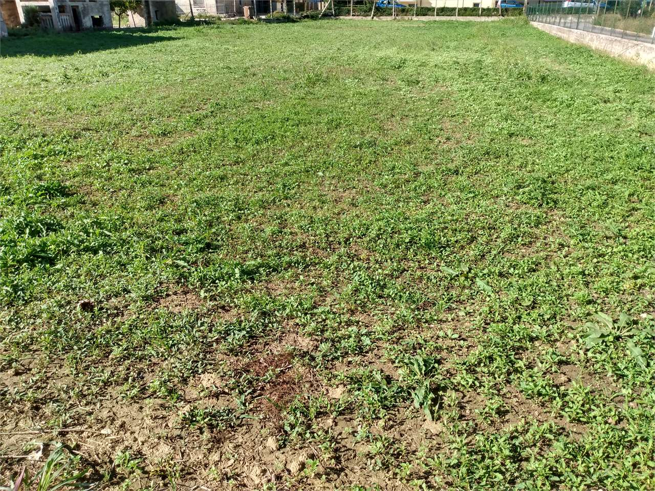 immagine annuncio 3 di 9